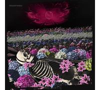 Dead Rabbitts – Redefined – CD