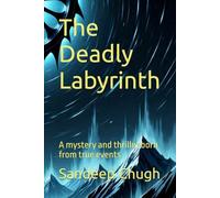 The Deadly Labyrinth: A mystery and thriller born from true events