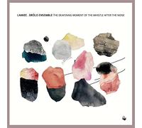 The Deafening Moment of the Whistle After the Noise