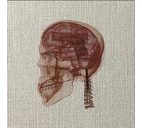 THE DECEIVED - MONUMENTS [UK Import]