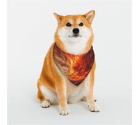 The Desert at Dawn Écharpe triangulaire élégante pour animal domestique, accessoire pour animal domestique, lavable, pour fille, garçon, chien ou chat, taille S