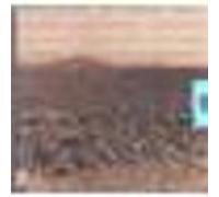 The desert music G