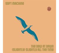 The Dew At Dawn - Slightly All The Time Vinyle