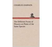 The Different Forms Of Flowers On Plants Of The Same Species