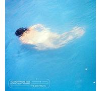 The Districts – You Know I'm Not Going Anywhere – Vinyle LP (neuf)