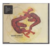 The Divine Comedy - Perfect Lovesong