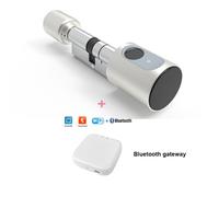 The Divine Vision And Other Poems