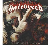 The Divinity of Purpose