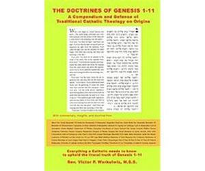 The Doctrines of Genesis 1-11 Victor Warkulwiz (Auteur)