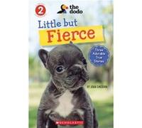 The Dodo Little But Fierce by Joan Emerson Joan Emerson (Auteur)