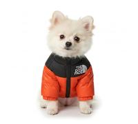 The Dog Face Veste d'hiver coupe-vent avec fermeture éclair pour chiens de petite et moyenne taille (orange, XL)
