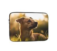 The Dog Standing on The Grass Under The Sunset Housse de protection antichoc pour ordinateur portable de 15 pouces