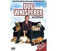 The Dog Whisperer - Series 1 - Fears And Phobias G