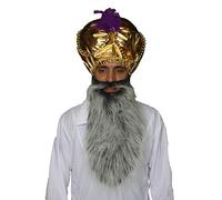 The Dragons Den Déguisement indien indien sultan pour adulte - Turban et barbe - Style Bollywood - Gris