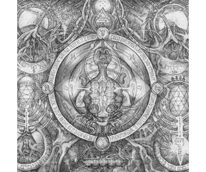 The Dream Membrane