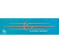 The Driver Project Vs.Mike Lit - Eternal Summer