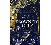 The Drowned City: A compulsive historical mystery set in Jacobean Bristol
