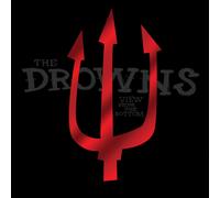 The Drowns - View From The Bottom