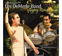 The Dynamic les Demerle Band - Gypsy Rendezvous, Vol. 2