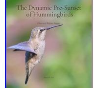 The Dynamic Pre-Sunset of Hummingbirds: Observed Before Sunset