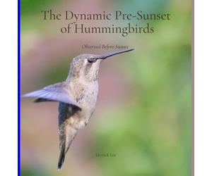The Dynamic Pre-Sunset of Hummingbirds: Observed Before Sunset
