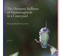 The Dynamic Stillness of Hummingbirds in a Courtyard: Photographed from Morning into Day