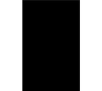 The Dynamics of Russian Politics Robert W. Orttung (Auteur)