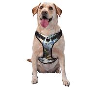 The Earth on The Stairs Harnais de qualité supérieure pour chiens de petite, moyenne et grande taille - Durable, ne tire pas avec sangles réfléchissantes et boucles à dégagement rapide, taille M