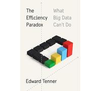 The Efficiency Paradox: What Big Data Can't Do