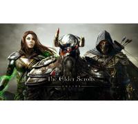 The Elder Scrolls Online Explorers Pack (PS4)