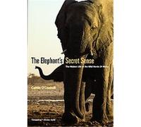 The Elephant's Secret Sense Caitlin O'Connell (Auteur)