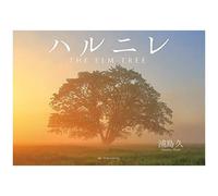 The Elm Tree