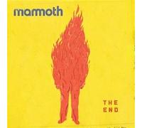 The End Édition Limitée Exclusivité Fnac Vinyle Orange et Rouge Marbré