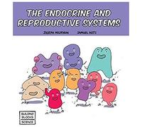 The Endocrine And Reproductive Systems