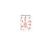 The Endocrine System Anatomical Chart