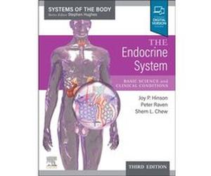 The Endocrine System by Chew & Shern L. Professor of Endocrine Medicine & Consultant Physician & Barts and the London School of Medicine and Dentistry & Q Chew Shern L. Professor of Endocrine Medicine