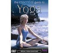 The Essential Guide To Yoga G