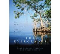 The Everglades