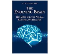 The Evolving Brain