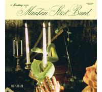 The Exciting Sounds Of Menahan Street Band CD