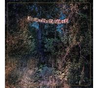 Eyelids The Accidental Falls (Vinyl) 12" Album