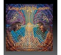 The Face of Love: A Guided Spirit Journey by Liquid Bloom (2015-05-04)