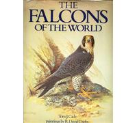 The Falcons of the World