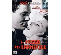 The Fallen Sparrow [Region 2]