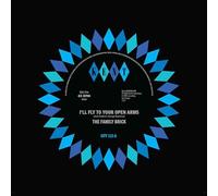 The Family Brick Ray Gant & Un - Ill Fly To Your Open Arms Did She Do It To You [Vinilo]