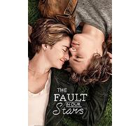 The Fault In Our Stars One Sheet Poster Maxi, en Bois, Multicolore