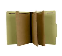 The File King Lot de 10 classeurs de classement en carton pressé Format lettre avec séparateurs et fixations pour armoire et tiroirs 3 Dividers, 3" Expansion vert pâle