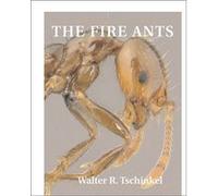 The Fire Ants by Walter R. Tschinkel Walter R. Tschinkel (Auteur)