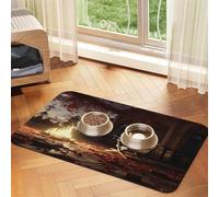 The Fire Pit in The Destroyed Library Tapis d'alimentation pour chien et chat - Nappe en cuir absorbant - Imperméable - Anti-taches - Séchage rapide - Antidérapant - 60 x 40 cm