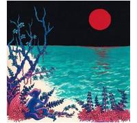 The First Glass Beach Album